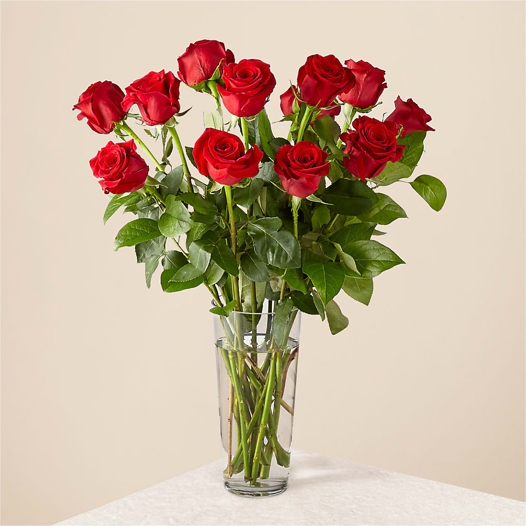 Long Stem Red Rose Bouquet – JANIE'S COUNTRY GALLERY FLORIST, Bristol VA