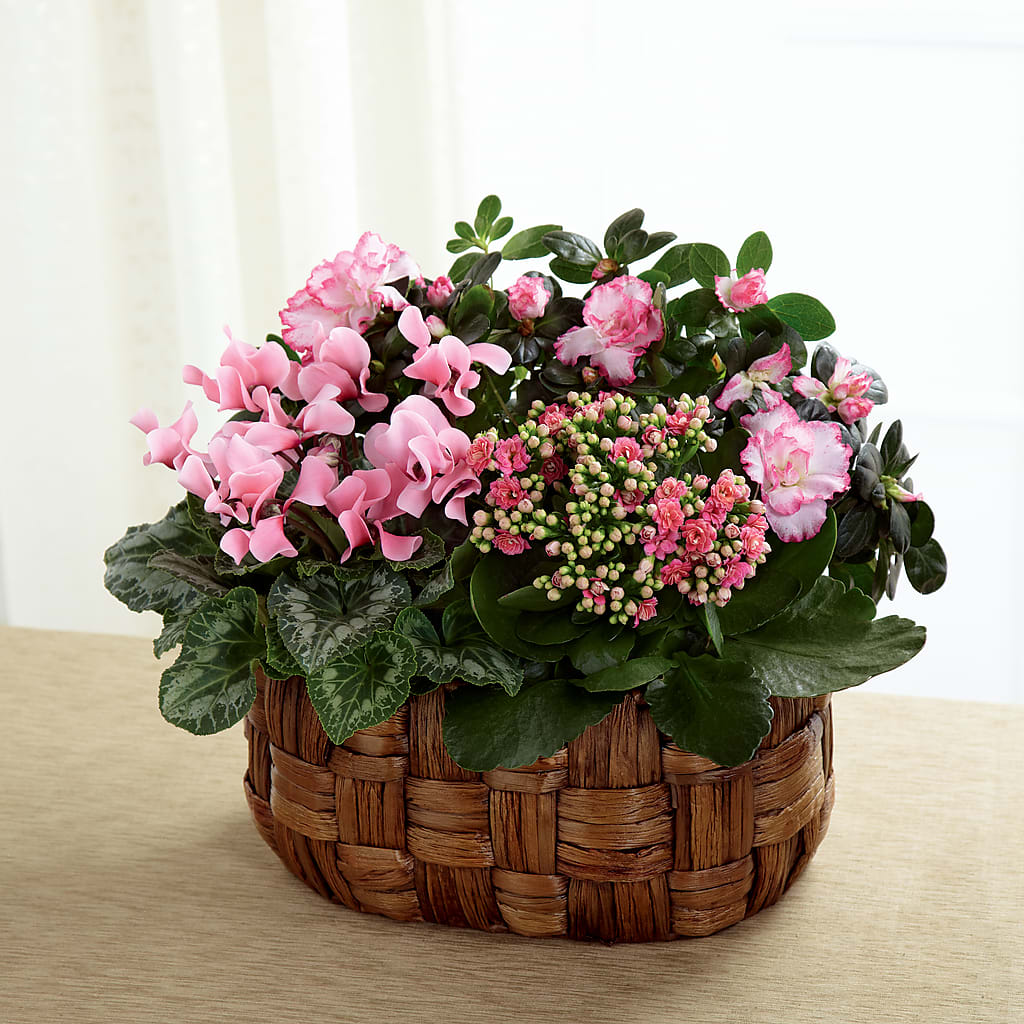 Pink Assortment – JANIE'S COUNTRY GALLERY FLORIST, Bristol VA