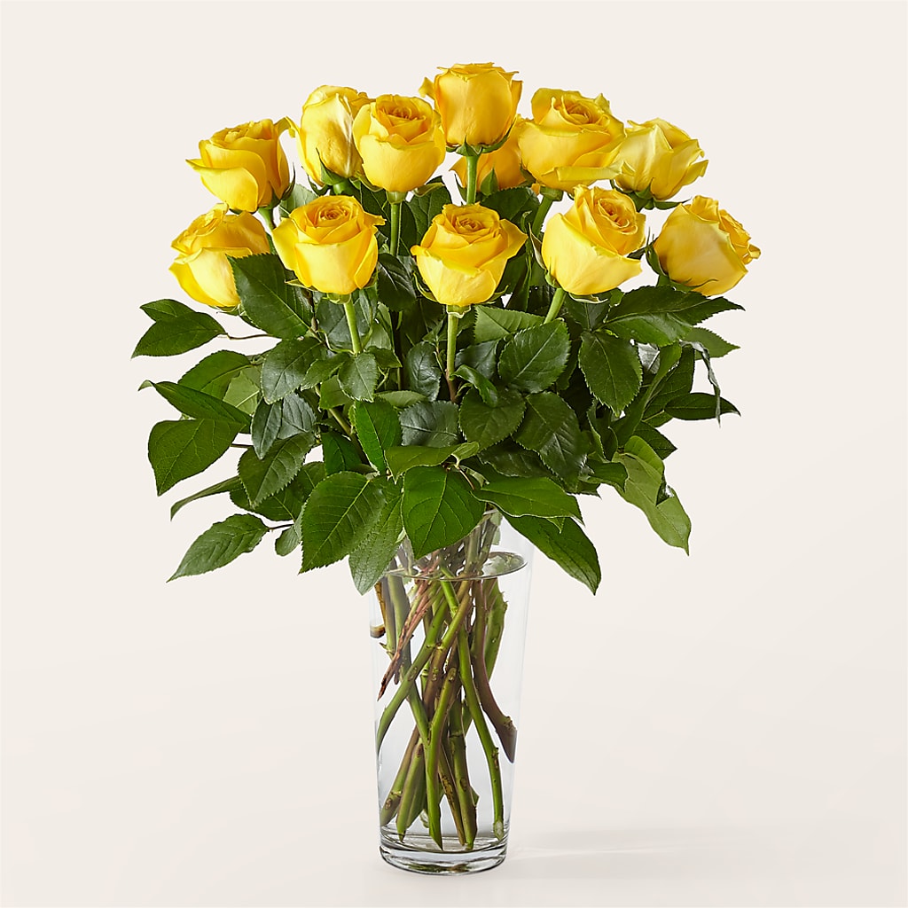 Long Stem Yellow Rose Bouquet – JANIE'S COUNTRY GALLERY FLORIST, Bristol VA