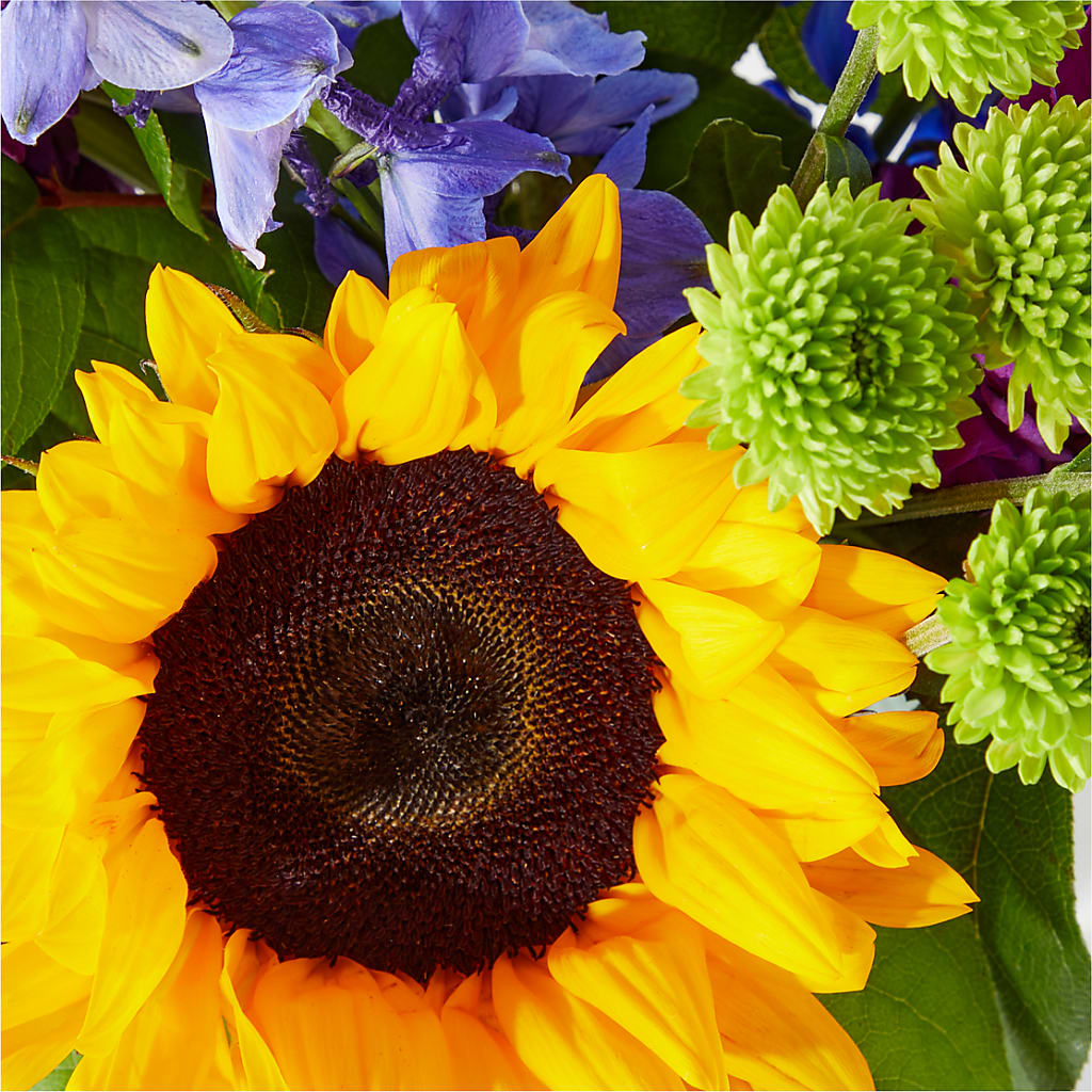 Catching Rays Bouquet – JANIE'S COUNTRY GALLERY FLORIST, Bristol VA