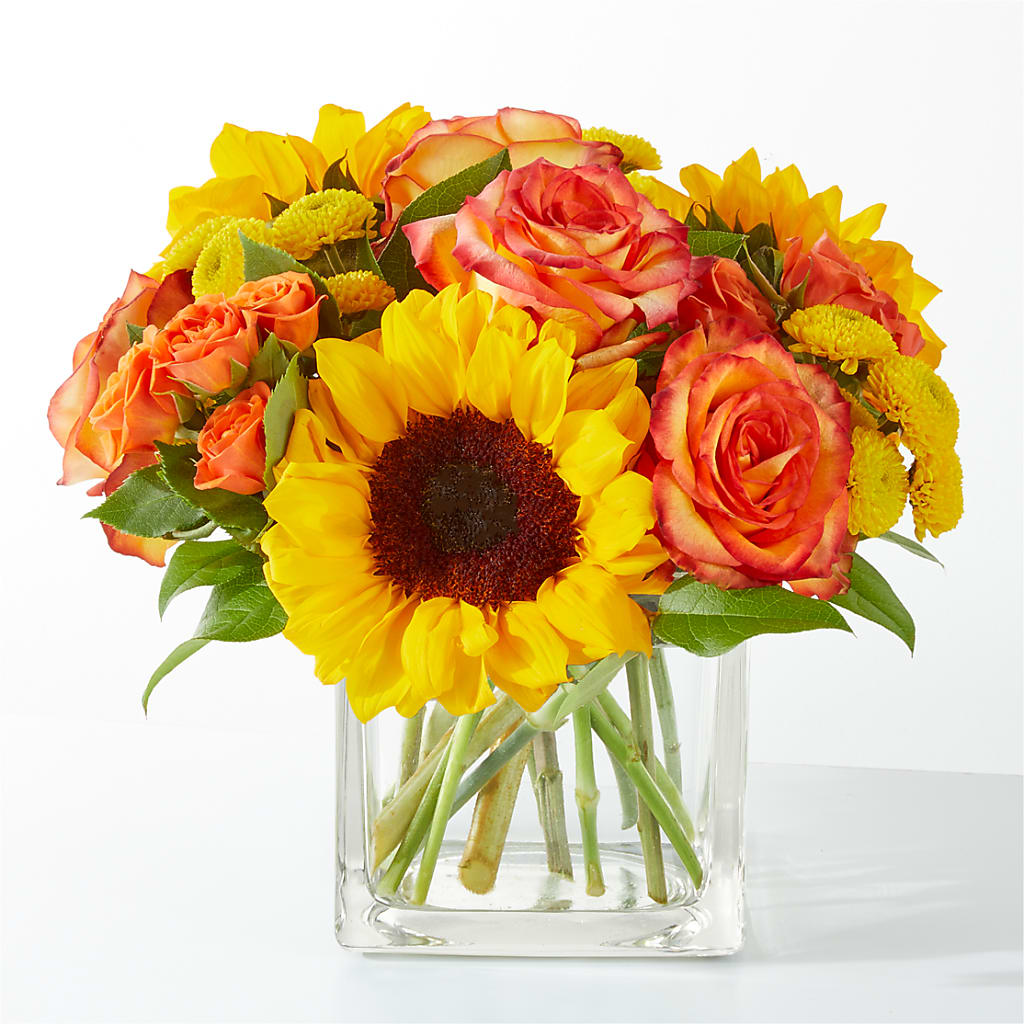 Picnic in the Park Bouquet – JANIE'S COUNTRY GALLERY FLORIST, Bristol VA