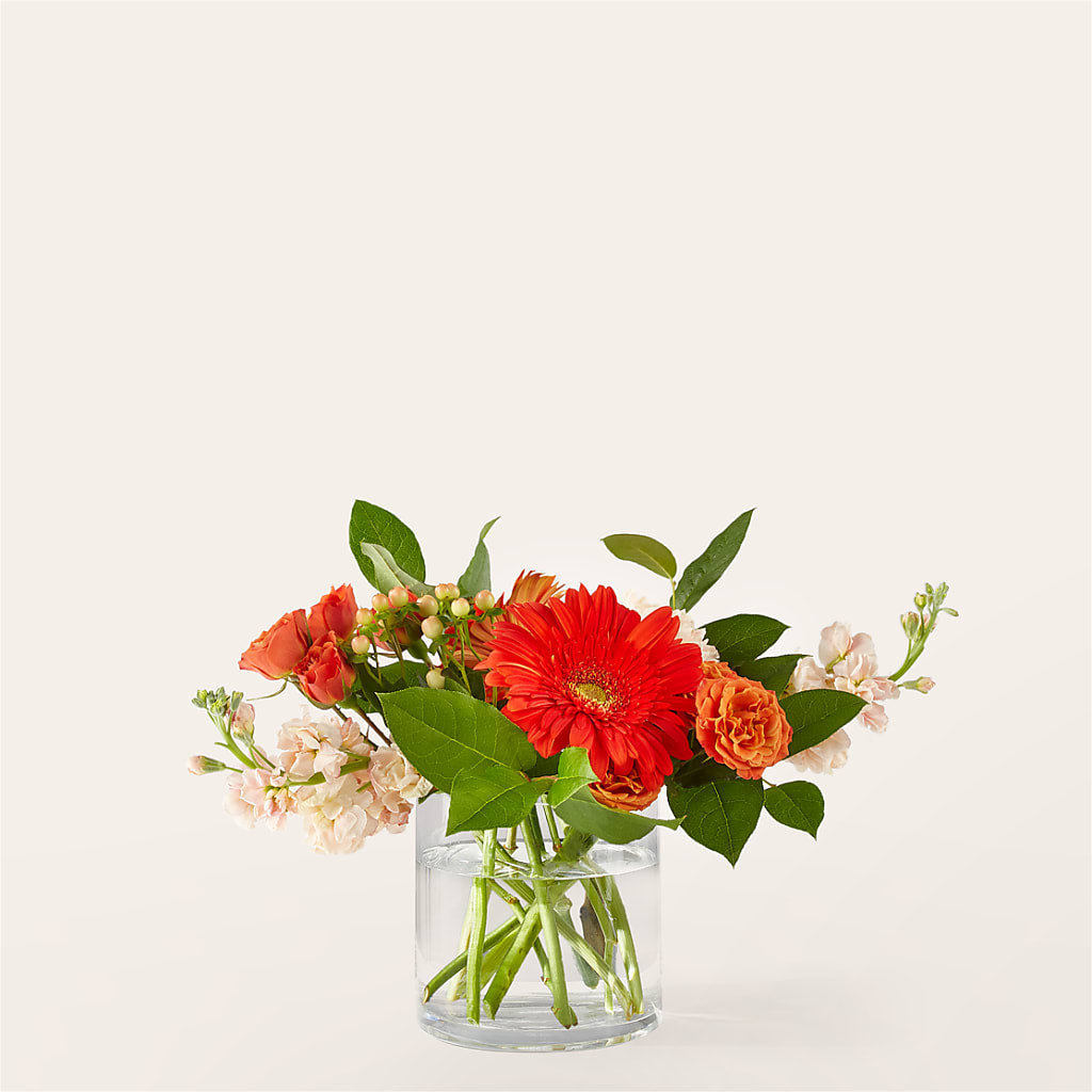 Paloma Please Bouquet – JANIE'S COUNTRY GALLERY FLORIST, Bristol VA