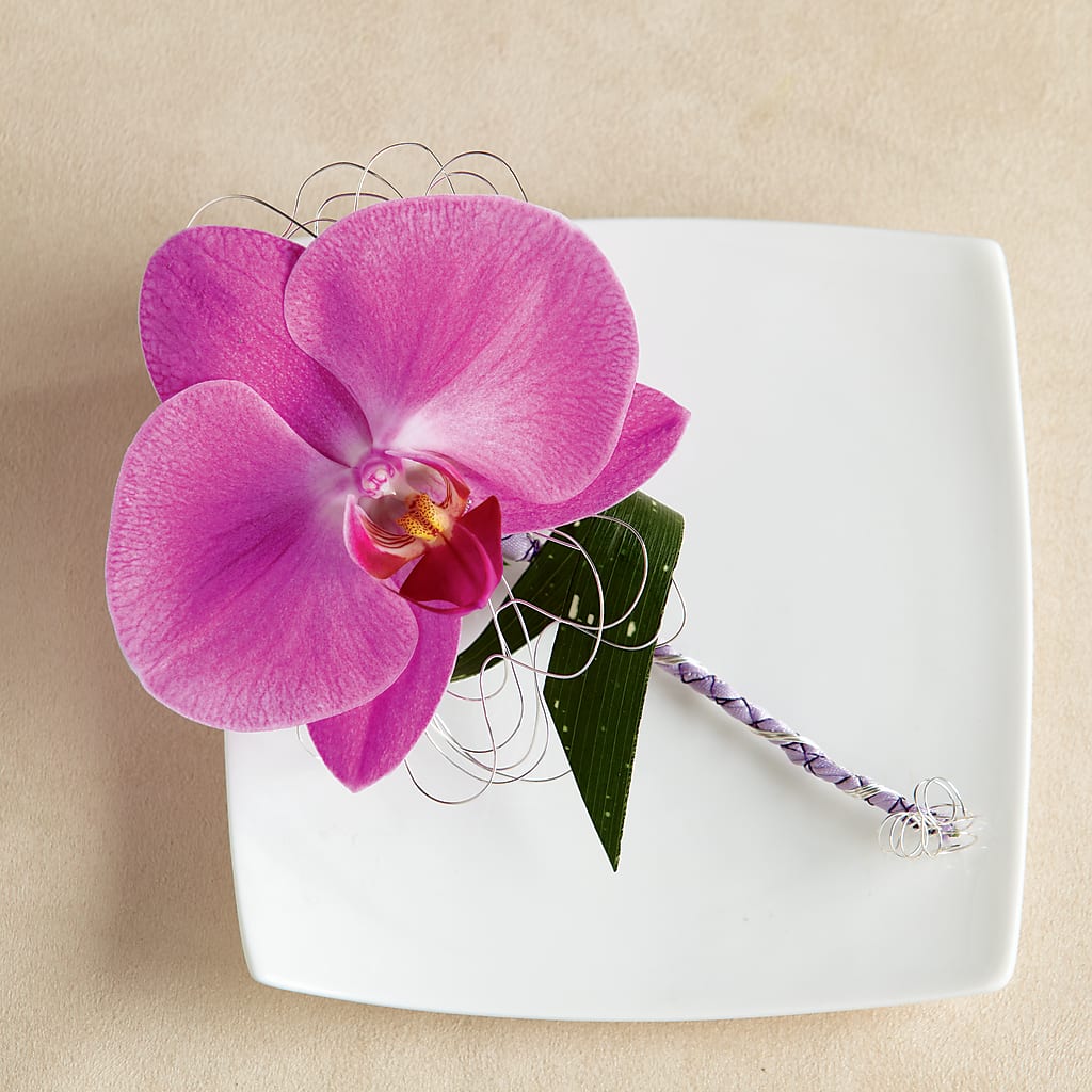 Glorious Boutonniere – JANIE'S COUNTRY GALLERY FLORIST, Bristol VA