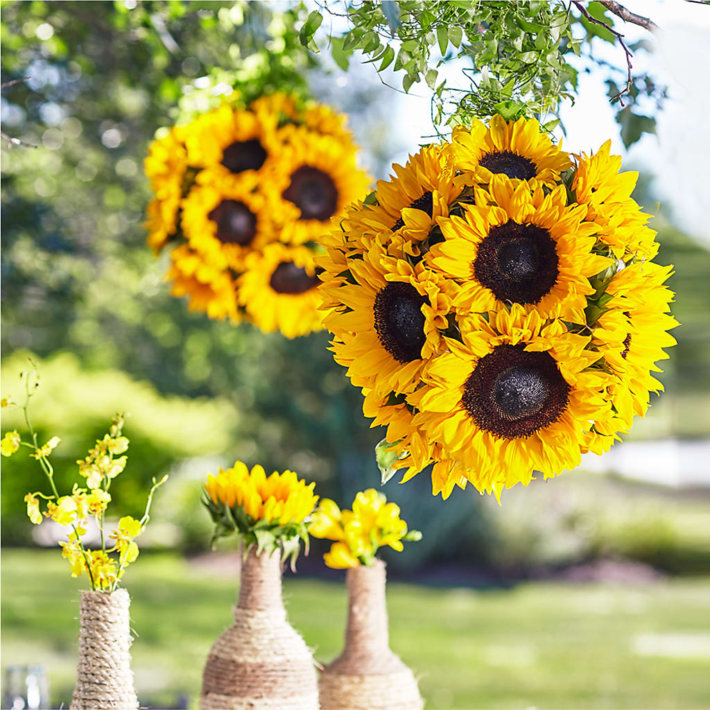 Sublime Garden Hanging Arrangement – JANIE'S COUNTRY GALLERY FLORIST, Bristol VA