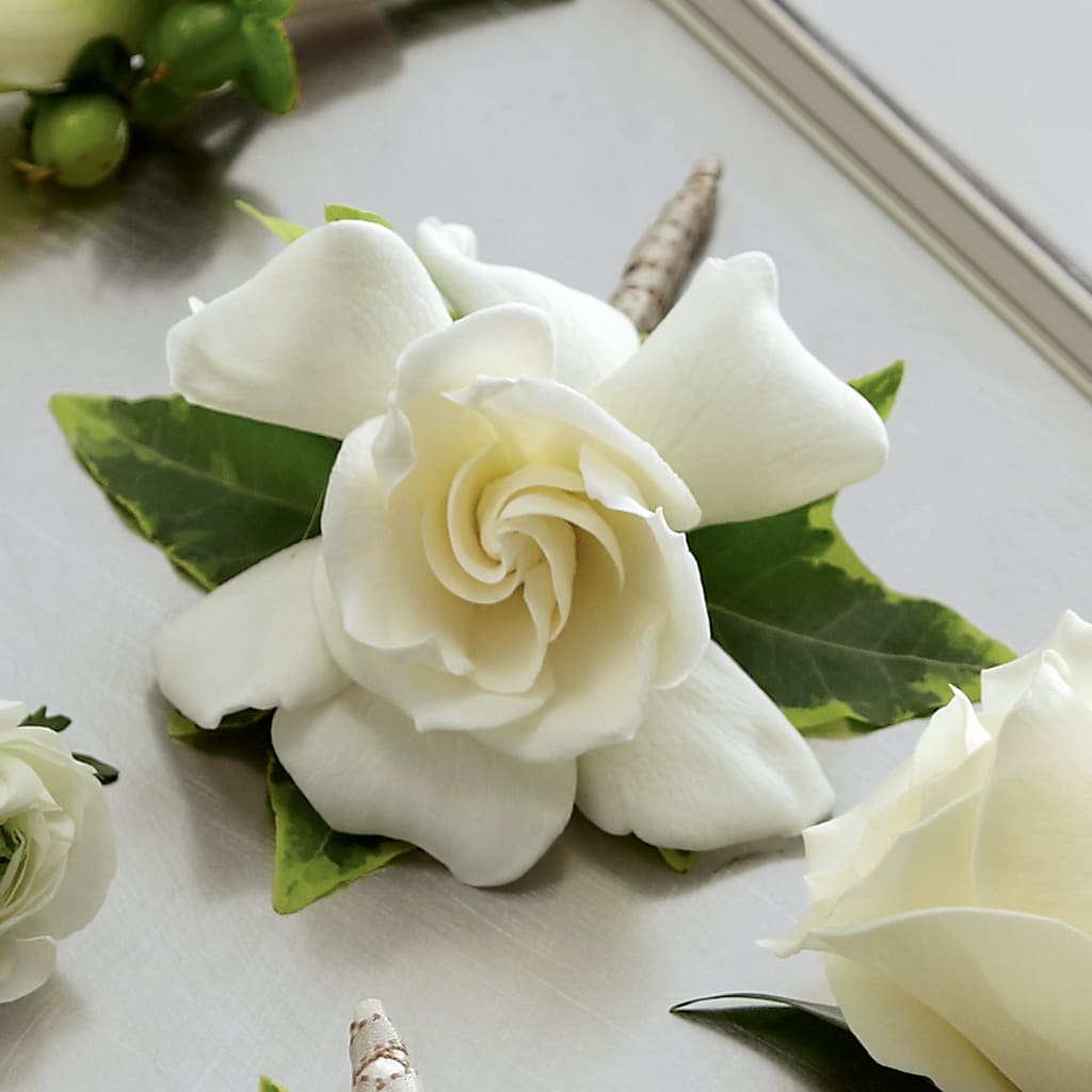 Gardenia Boutonniere – JANIE'S COUNTRY GALLERY FLORIST, Bristol VA