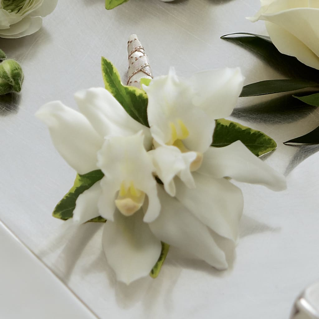 White Mini Cymbidium Boutonniere – JANIE'S COUNTRY GALLERY FLORIST, Bristol VA