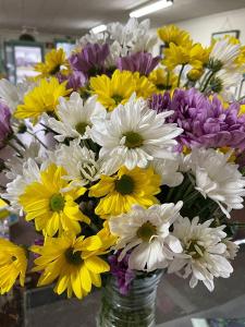 DONNA'S DAISYS