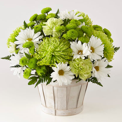 Lucky Charm Basket (Standard) – JANIE'S COUNTRY GALLERY FLORIST, Bristol VA