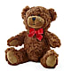 Adorable Plush Bear – JANIE'S COUNTRY GALLERY FLORIST, Bristol VA