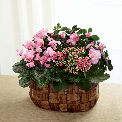 Pink Assortment – JANIE'S COUNTRY GALLERY FLORIST, Bristol VA