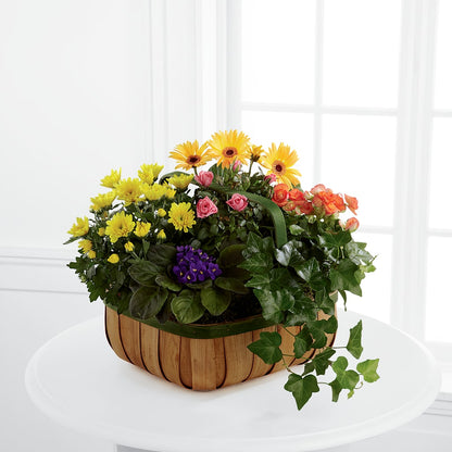 Gentle Blossoms Basket – JANIE'S COUNTRY GALLERY FLORIST, Bristol VA