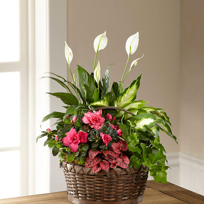 Dream in Pink Dishgarden – JANIE'S COUNTRY GALLERY FLORIST, Bristol VA