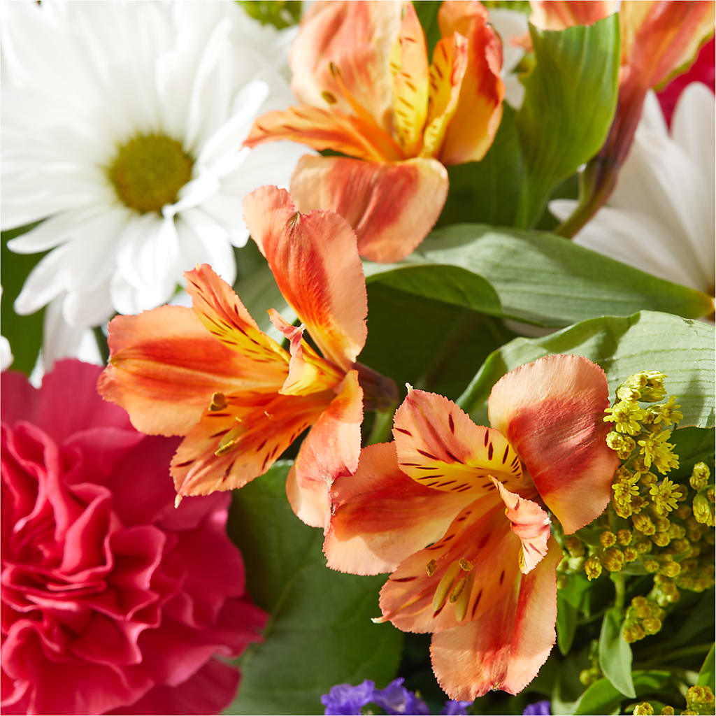 Oopsie Daisy Box Bouquet – JANIE'S COUNTRY GALLERY FLORIST, Bristol VA