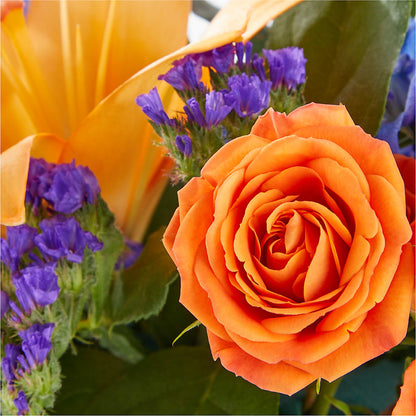 Radiant Citrus Box Bouquet – JANIE'S COUNTRY GALLERY FLORIST, Bristol VA