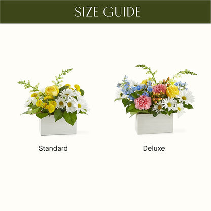 Sun Salutation Box Bouquet – JANIE'S COUNTRY GALLERY FLORIST, Bristol VA