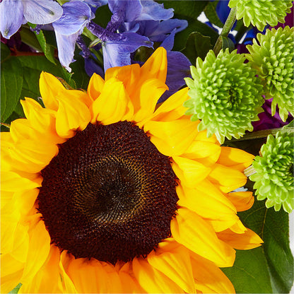 Catching Rays Bouquet – JANIE'S COUNTRY GALLERY FLORIST, Bristol VA