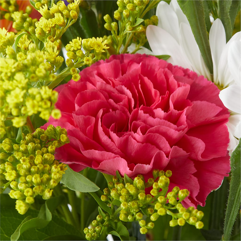 Oopsie Daisy Bouquet – JANIE'S COUNTRY GALLERY FLORIST, Bristol VA