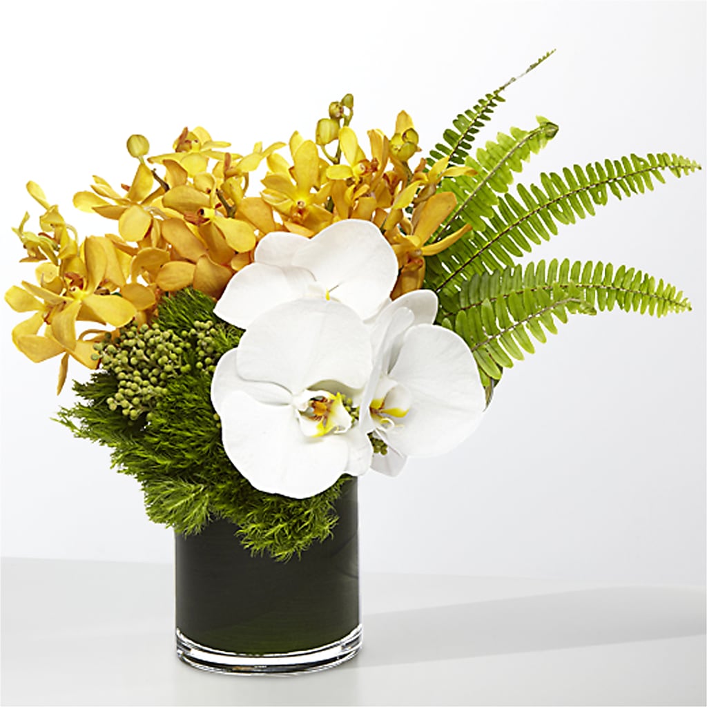The Tropics – JANIE'S COUNTRY GALLERY FLORIST, Bristol VA