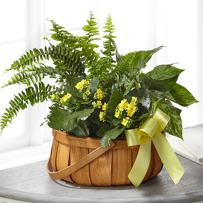 Always Dear Dishgarden – JANIE'S COUNTRY GALLERY FLORIST, Bristol VA
