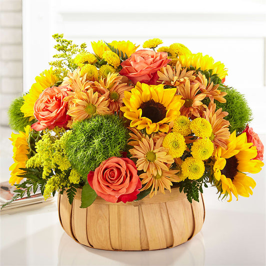 Harvest Sunflower Basket – JANIE'S COUNTRY GALLERY FLORIST, Bristol VA