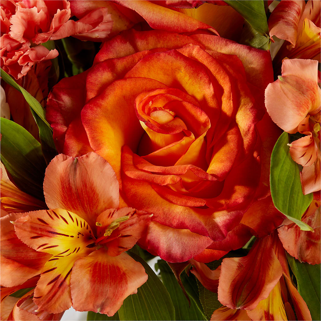 Apricot Glow Bouquet – JANIE'S COUNTRY GALLERY FLORIST, Bristol VA