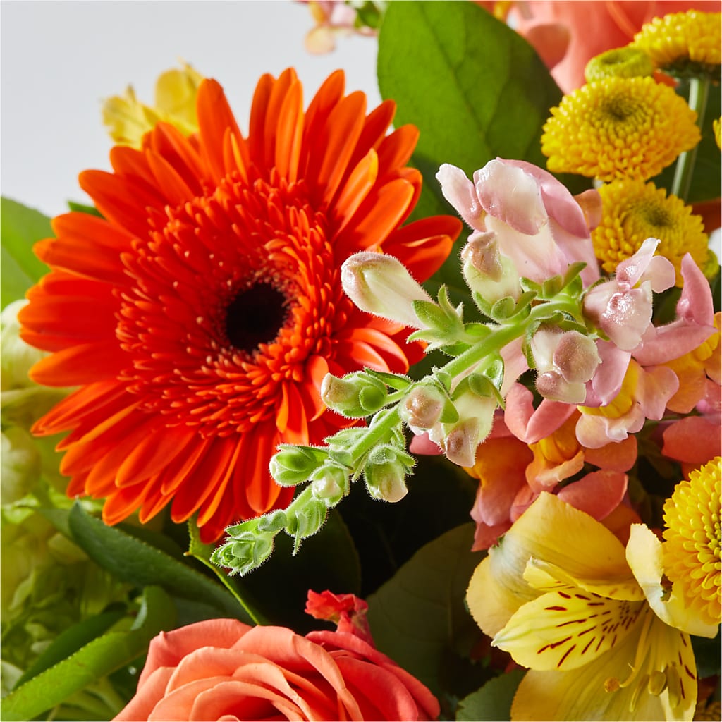 Autumn Sunshine Bouquet – JANIE'S COUNTRY GALLERY FLORIST, Bristol VA