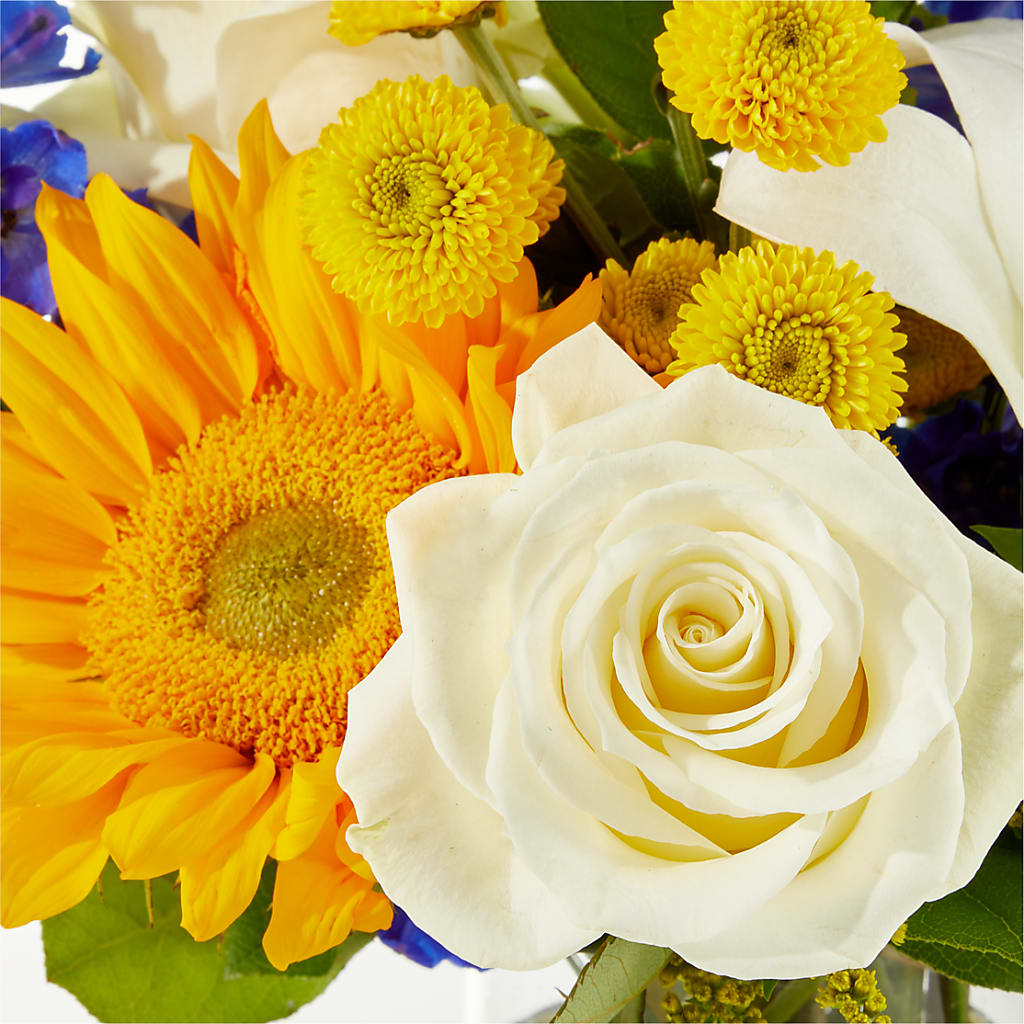 Stargazing Bouquet – JANIE'S COUNTRY GALLERY FLORIST, Bristol VA