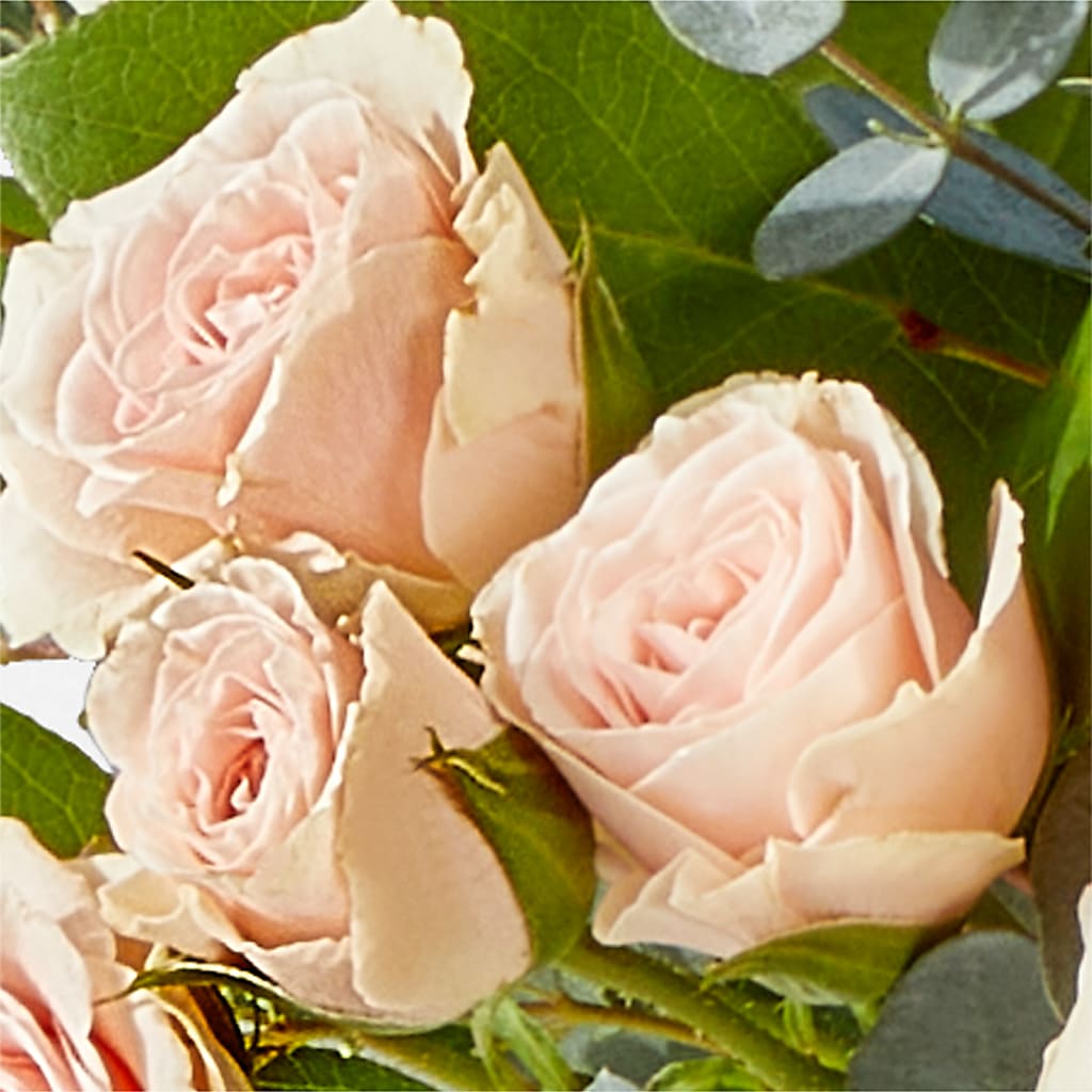 Inspired Bouquet – JANIE'S COUNTRY GALLERY FLORIST, Bristol VA