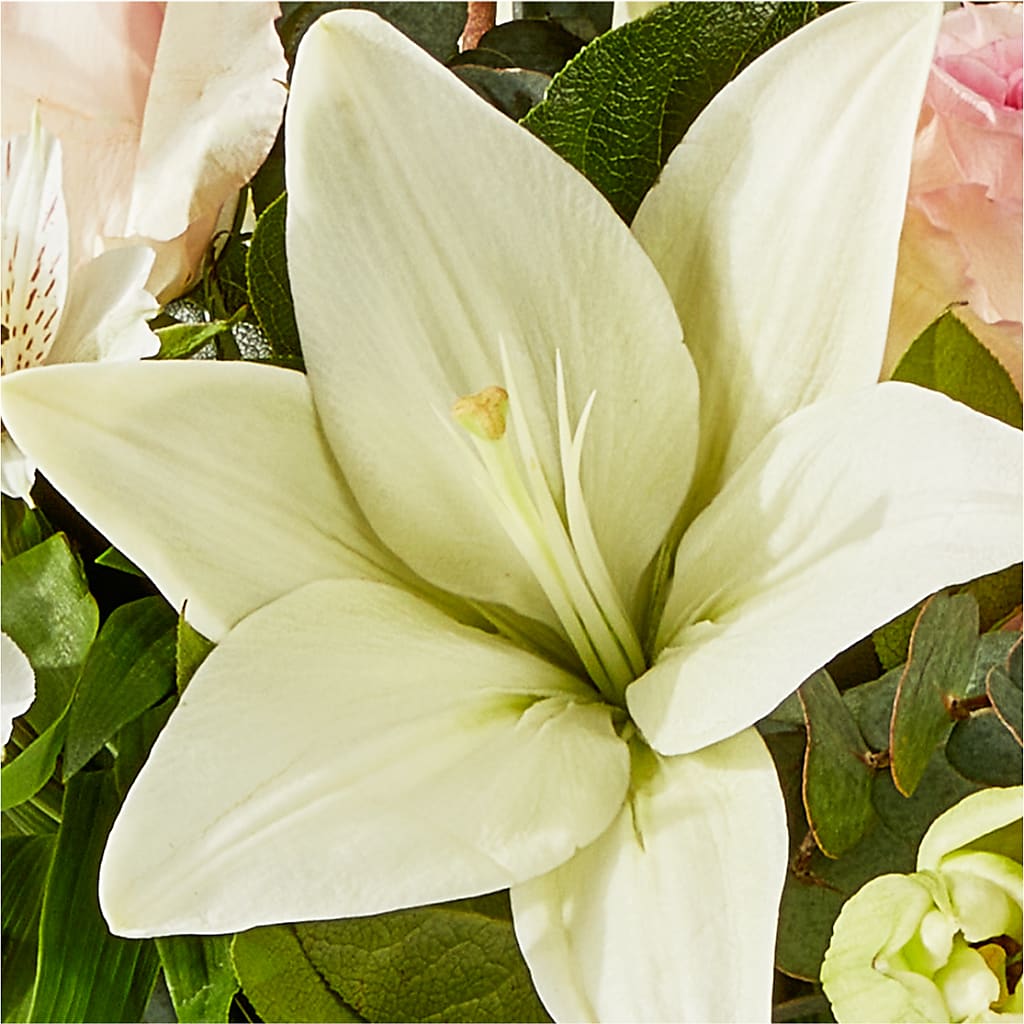 Ballet Slippers Bouquet – JANIE'S COUNTRY GALLERY FLORIST, Bristol VA