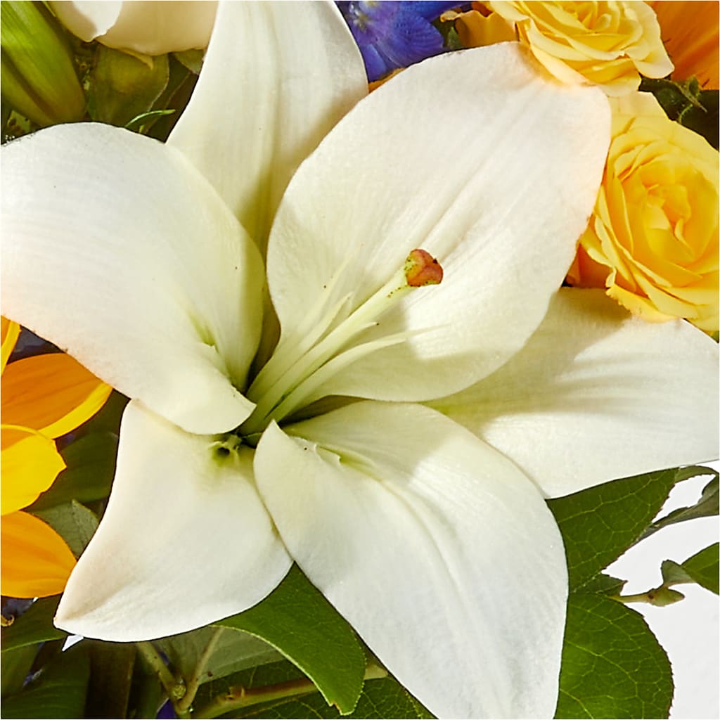 Wonderfully Sunny Bouquet – JANIE'S COUNTRY GALLERY FLORIST, Bristol VA