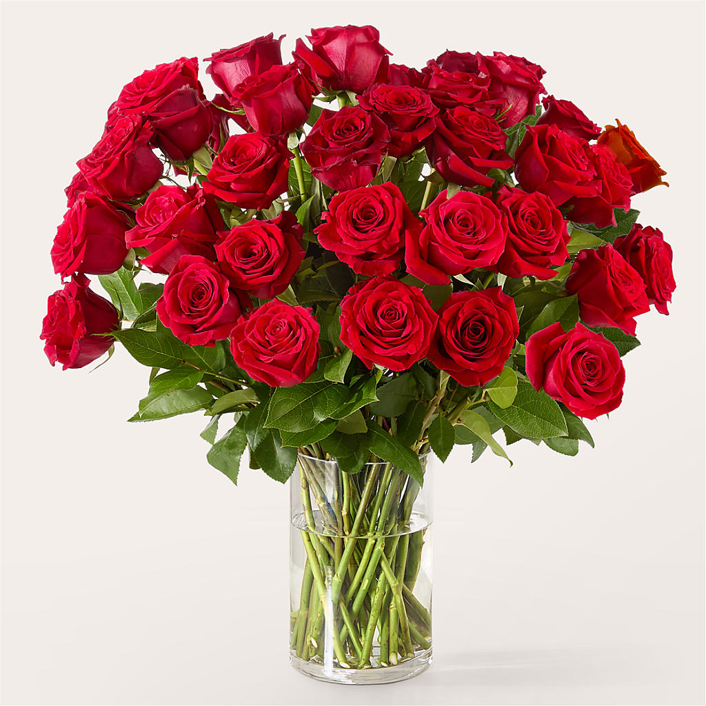 The One Red Rose Bouquet – JANIE'S COUNTRY GALLERY FLORIST, Bristol VA
