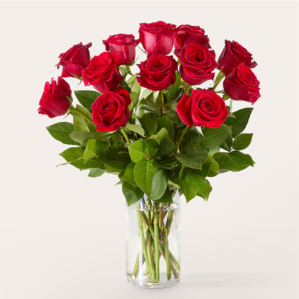 The One Red Rose Bouquet – JANIE'S COUNTRY GALLERY FLORIST, Bristol VA