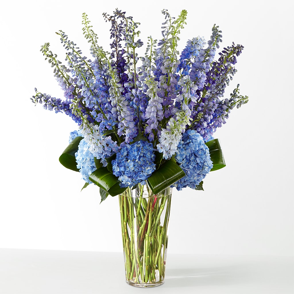 The Editorial – JANIE'S COUNTRY GALLERY FLORIST, Bristol VA